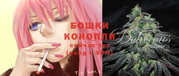 прущие крисы Богданович